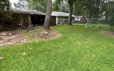 Photo of Sharon k.'s yard after getting lawn care in Ipswich, MA