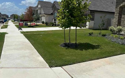 Photo of Marsha B.'s yard after getting lawn care in Schertz, TX