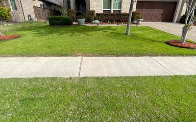 Photo of Alma N.'s yard after getting lawn care in East Hampton, NY