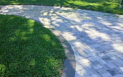 Photo of Suvie S.'s yard after getting lawn care in Lawrence, MA