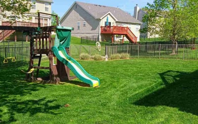 Photo of Nick H.'s yard after getting lawn care in Fairview Heights, IL