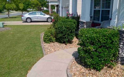 Photo of Jonathan T.'s yard after getting lawn care in Long Branch, NJ