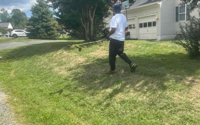 Photo of Amber C.'s yard after getting lawn care in Holliston, MA