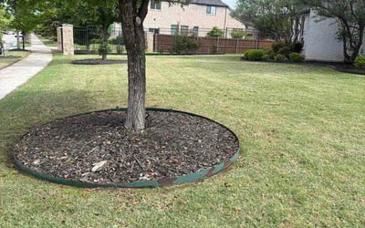 Photo of Gary V.'s yard after getting lawn care in Glen Ellyn, IL