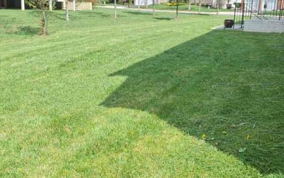 Photo of Richard M.'s yard after getting lawn care in Harpers Ferry, WV