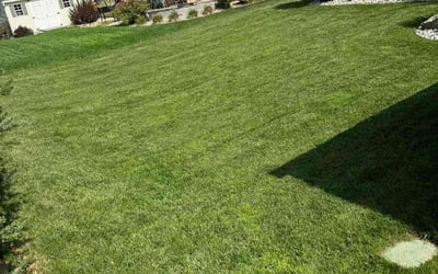 Photo of Charlie R.'s yard after getting lawn care in Bethlehem, PA