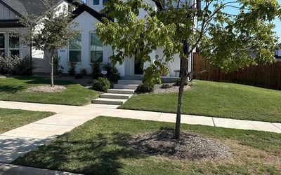 Photo of Lindsay J.'s yard after getting lawn care in Frisco, TX