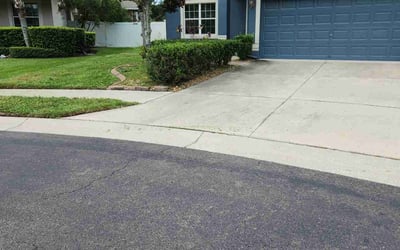 Photo of Suzanne T.'s yard after getting lawn care in Belle Glade, FL