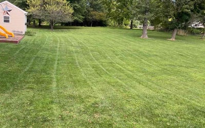 Photo of Tiffany C.'s yard after getting lawn care in Phoenixville, PA