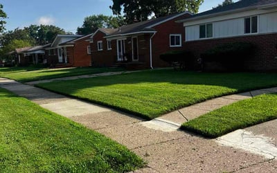Photo of Timothy M.'s yard after getting lawn care in West Bloomfield, MI