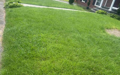 Photo of Devante J.'s yard after getting lawn care in Randolph, MA