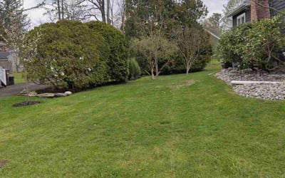 Photo of Billy W.'s yard after getting lawn care in Pittsford, NY