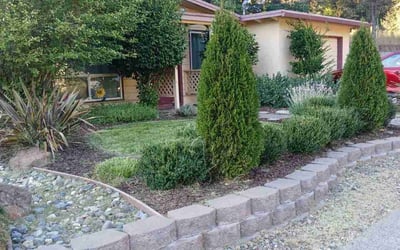 Photo of Melissa R.'s yard after getting lawn care in Placerville, CA