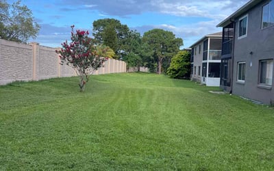 Photo of Joel K.'s yard after getting lawn care in Whitestone, NY