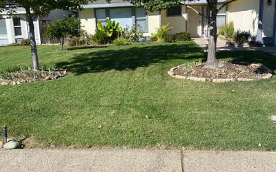 Photo of Kristen M.'s yard after getting lawn care in Orangevale, CA