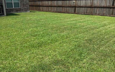 Photo of Sav A.'s yard after getting lawn care in Raleigh, NC