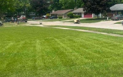 Photo of Shellena T.'s yard after getting lawn care in Southfield, MI