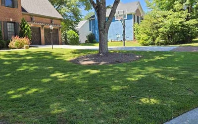 Photo of Terry H.'s yard after getting lawn care in Mableton, GA
