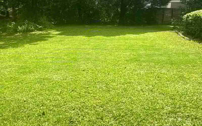 Photo of Richard S.'s yard after getting lawn care in Guilford, CT