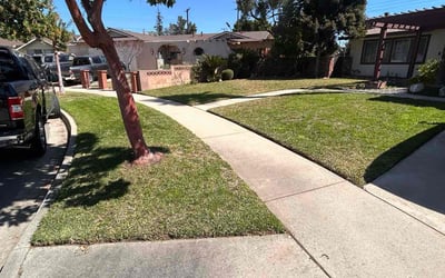 Photo of Krystal B.'s yard after getting lawn care in San Dimas, CA