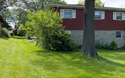 Photo of Kellie C.'s yard after getting lawn care in Downers Grove, IL