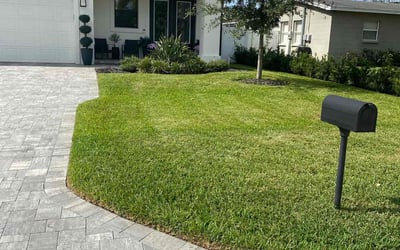 Photo of Tyler C.'s yard after getting lawn care in Tampa, FL