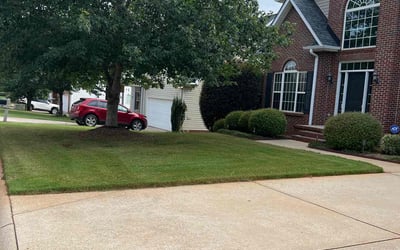 Photo of Susan C.'s yard after getting lawn care in Ozark, MO
