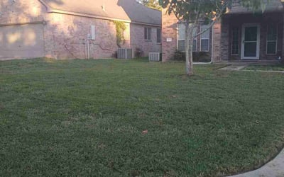 Photo of Cullen M.'s yard after getting lawn care in South Windsor, CT