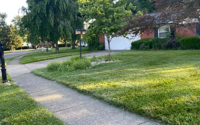 Photo of Sapphire C.'s yard after getting lawn care in Centerville, OH