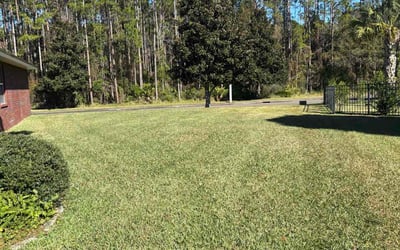 Photo of Viviana R.'s yard after getting lawn care in Atascadero, CA