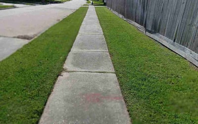 Photo of Debra H.'s yard after getting lawn care in Far Rockaway, NY