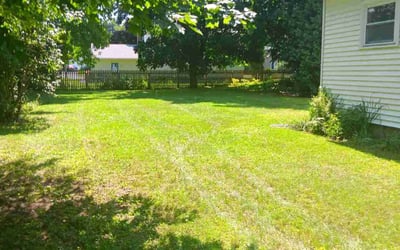 Photo of Jenny P.'s yard after getting lawn care in Burlington, VT