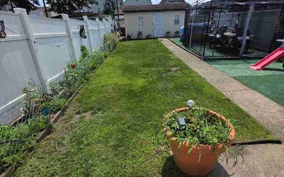 Photo of Lorraine E.'s yard after getting lawn care in Catonsville, MD