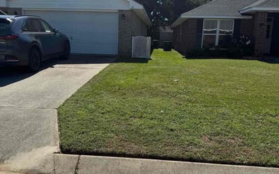 Photo of Jeramel M.'s yard after getting lawn care in Waterloo, IL