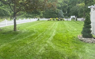 Photo of John D.'s yard after getting lawn care in Eastlake, OH