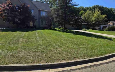 Photo of Michael M.'s yard after getting lawn care in Eaton Rapids, MI