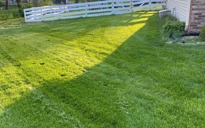 Photo of Holley R.'s yard after getting lawn care in Indianapolis, IN