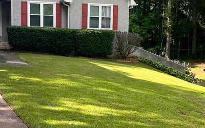 Photo of Chuck C.'s yard after getting lawn care in Goleta, CA