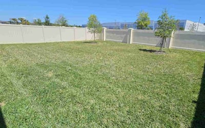 Photo of Cassandra J.'s yard after getting lawn care in Havana, FL