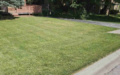 Photo of Jackie H.'s yard after getting lawn care in Aloha, OR
