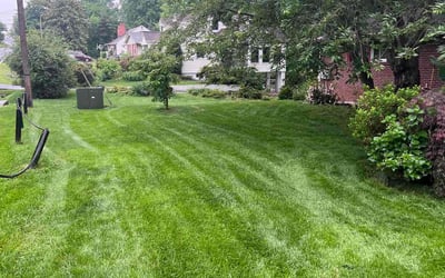 Photo of Heidi L.'s yard after getting lawn care in Falls Church, VA