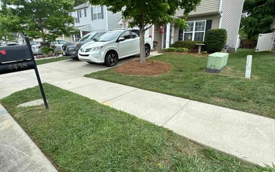 Photo of David W.'s yard after getting lawn care in Charlotte, NC