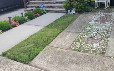 Photo of Michael J.'s yard after getting lawn care in Staten Island, NY