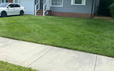 Photo of Lawander N.'s yard after getting lawn care in Mount Dora, FL