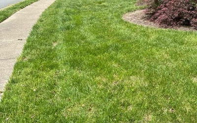 Photo of Stephen B.'s yard after getting lawn care in Brambleton, VA
