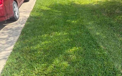 Photo of Katya C.'s yard after getting lawn care in Broomfield, CO