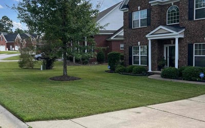 Photo of Barbara C.'s yard after getting lawn care in Lugoff, SC