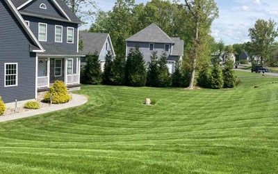 Photo of Charles F.'s yard after getting lawn care in East Hampton, CT