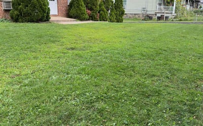 Photo of Austin F.'s yard after getting lawn care in Morristown, NJ