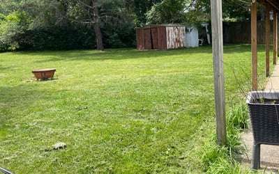 Photo of De&#039;Ara P.'s yard after getting lawn care in Norton, MA